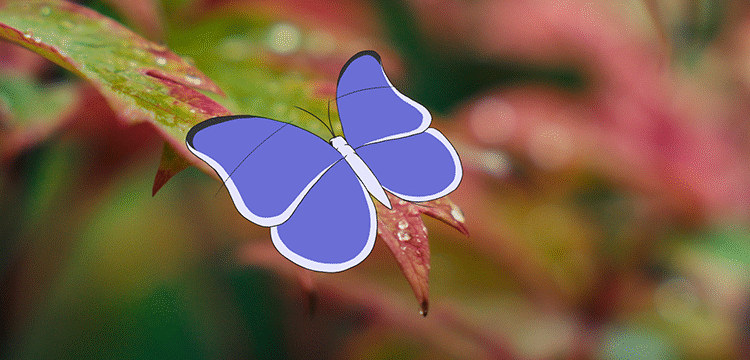 VANCOUVER_Modern Tale of Vancouver Animators 780×360